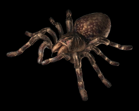 Giant Spider (Resident Evil Outbreak) | Evil Resource